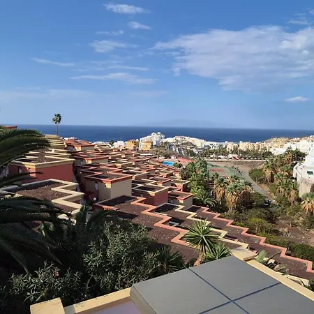 Wdb4 Windsor Danka * アデヘ